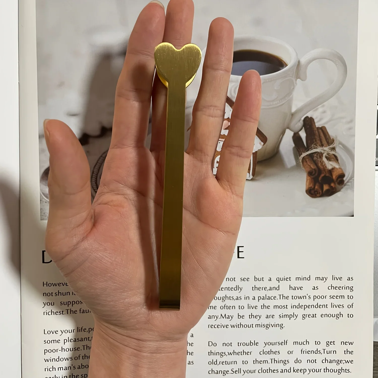 Roestvrijstalen hartvormige mi - Coffee Tea Sugar recensie en prijs